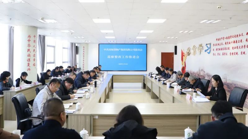 集團(tuán)黨委召開巡察整改工作推進(jìn)會