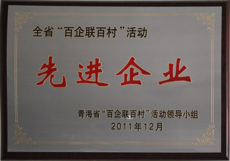 &ldquo;百企聯(lián)百村活動(dòng)&rdquo;先進(jìn)企業(yè)