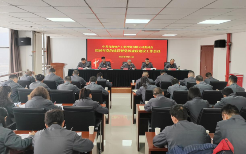 工投公司黨委召開2026年黨的建設(shè)暨黨風(fēng)廉政建設(shè)工作會議