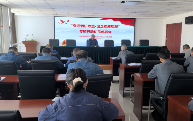 工投公司黨委召開&ldquo;穿透調(diào)研攻堅&middot;國企提質(zhì)煥新&rdquo;專項行動動員部署會