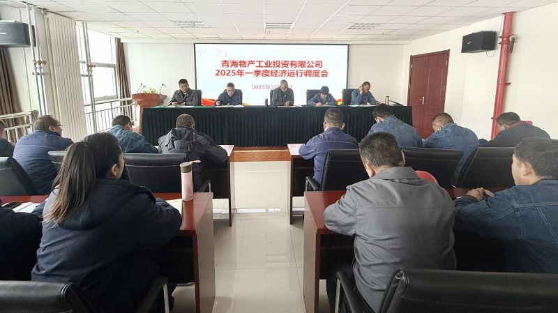 物產(chǎn)工投公司召開(kāi)2025年第一季度經(jīng)濟(jì)運(yùn)行調(diào)度會(huì)