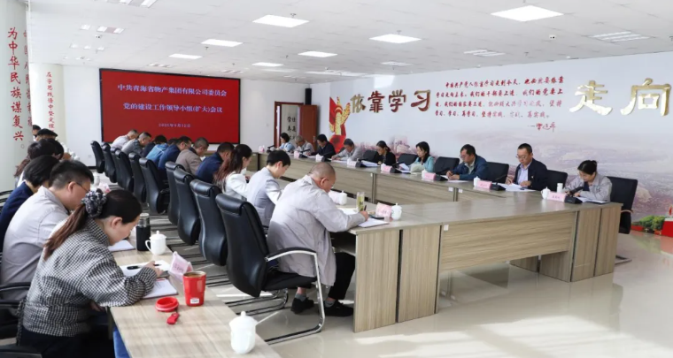 省物產(chǎn)集團(tuán)黨委召開黨的建設(shè)工作領(lǐng)導(dǎo)小組（擴(kuò)大）會(huì)議