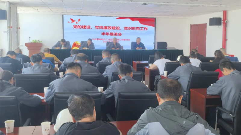 工投公司黨委召開黨的建設(shè)、黨風(fēng)廉政建設(shè)、意識形態(tài)工作半年推進會