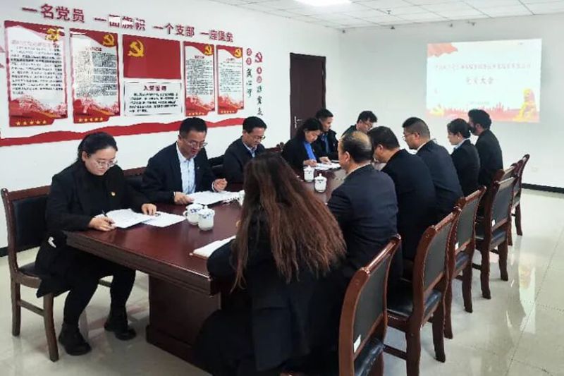 中國(guó)共產(chǎn)黨臨空公司黨員大會(huì)勝利召開(kāi)